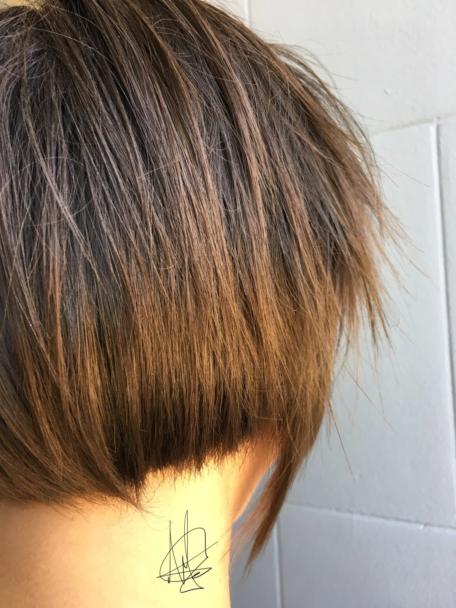 7E8C900B-4F10-4D10-A1BF-0D9DCCA539DA