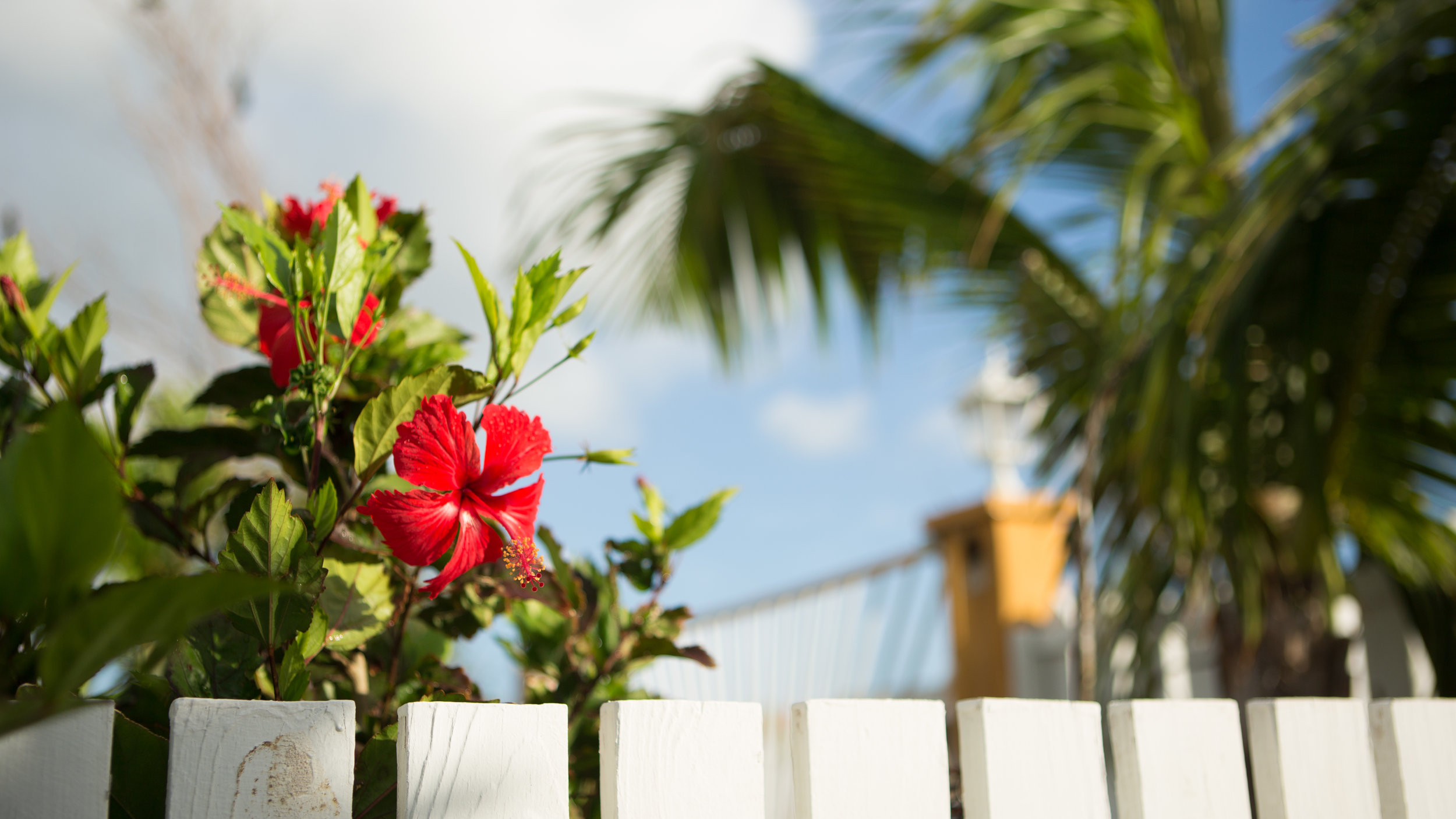 Sailing To Saint Maarten Travels With Shelby Ruby Riot Creatives 7.jpg