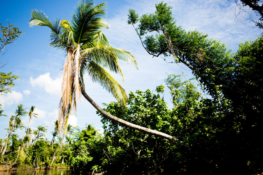 Sailing To Dominica Travels With Shelby Ruby Riot Creatives62.jpg