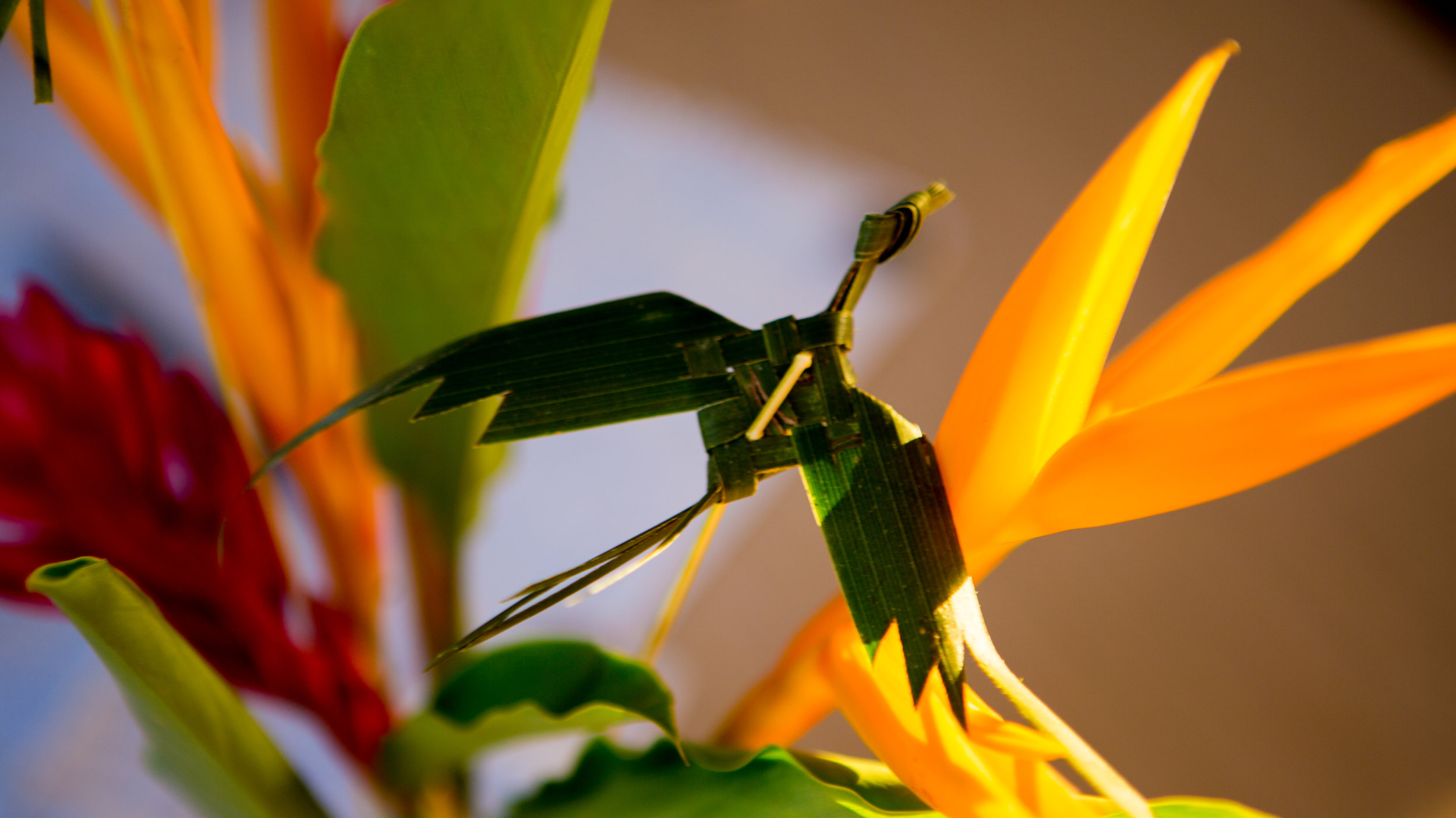 The Bird Of Paradise Titus Made For Us From The Indian River Tour On Dominica!