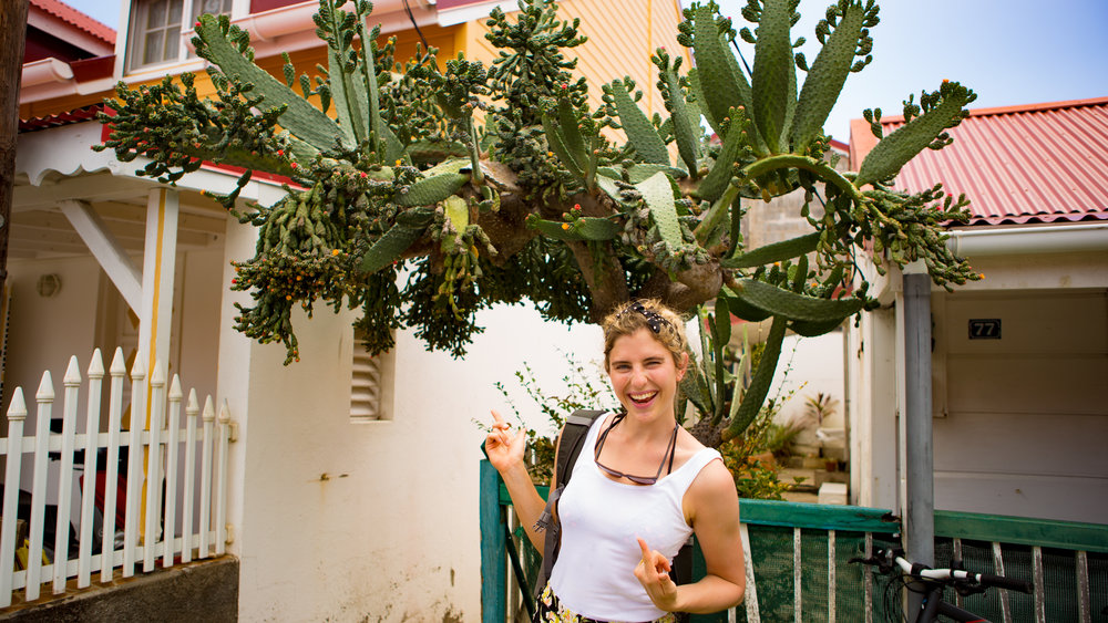 See how huge this cactus plant is?!