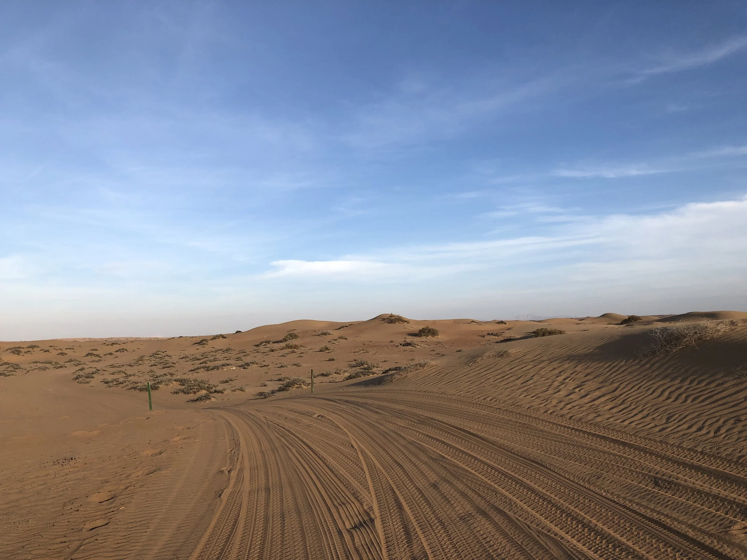 Our Trip to Dubai!