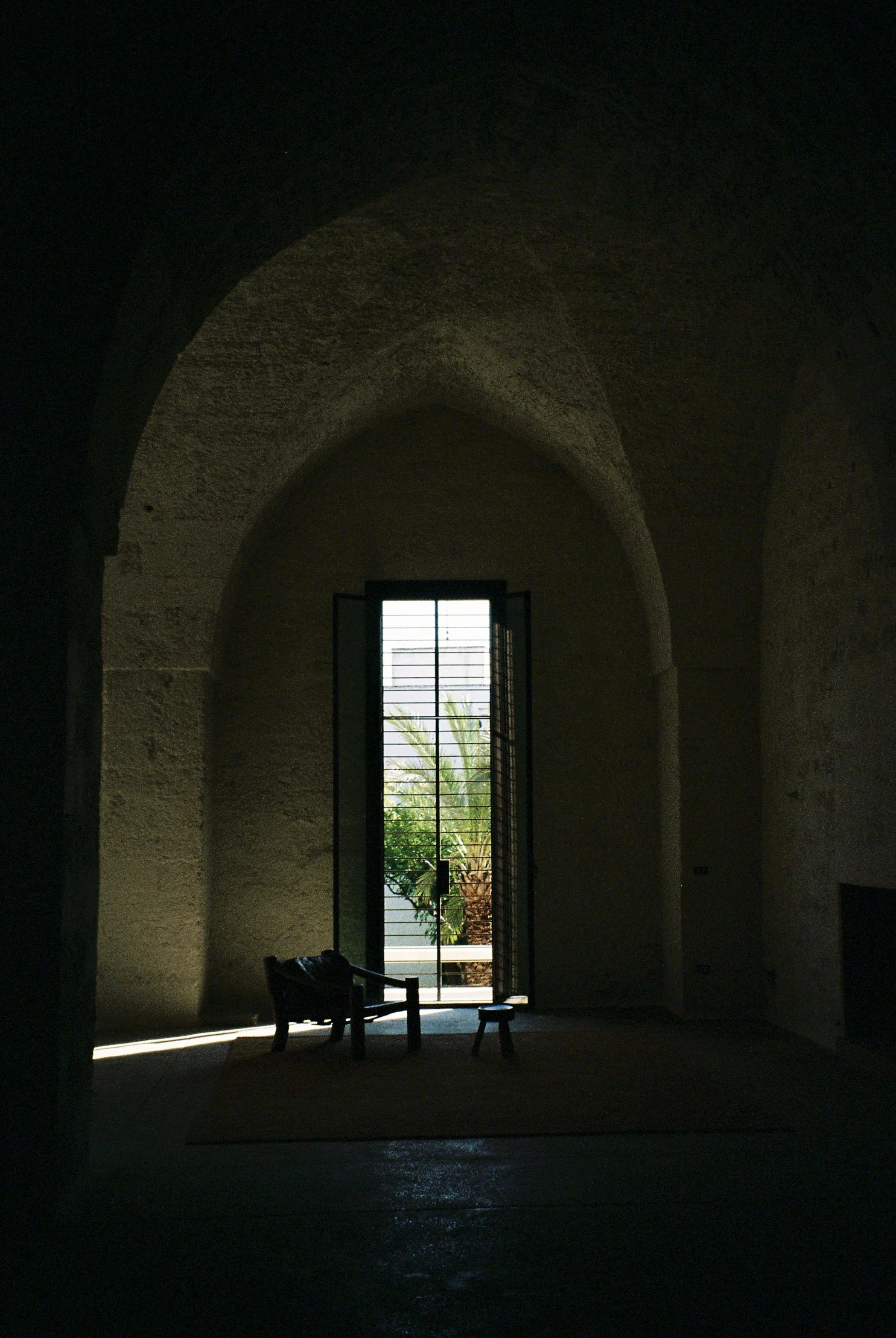 IMG_8485.jpeg