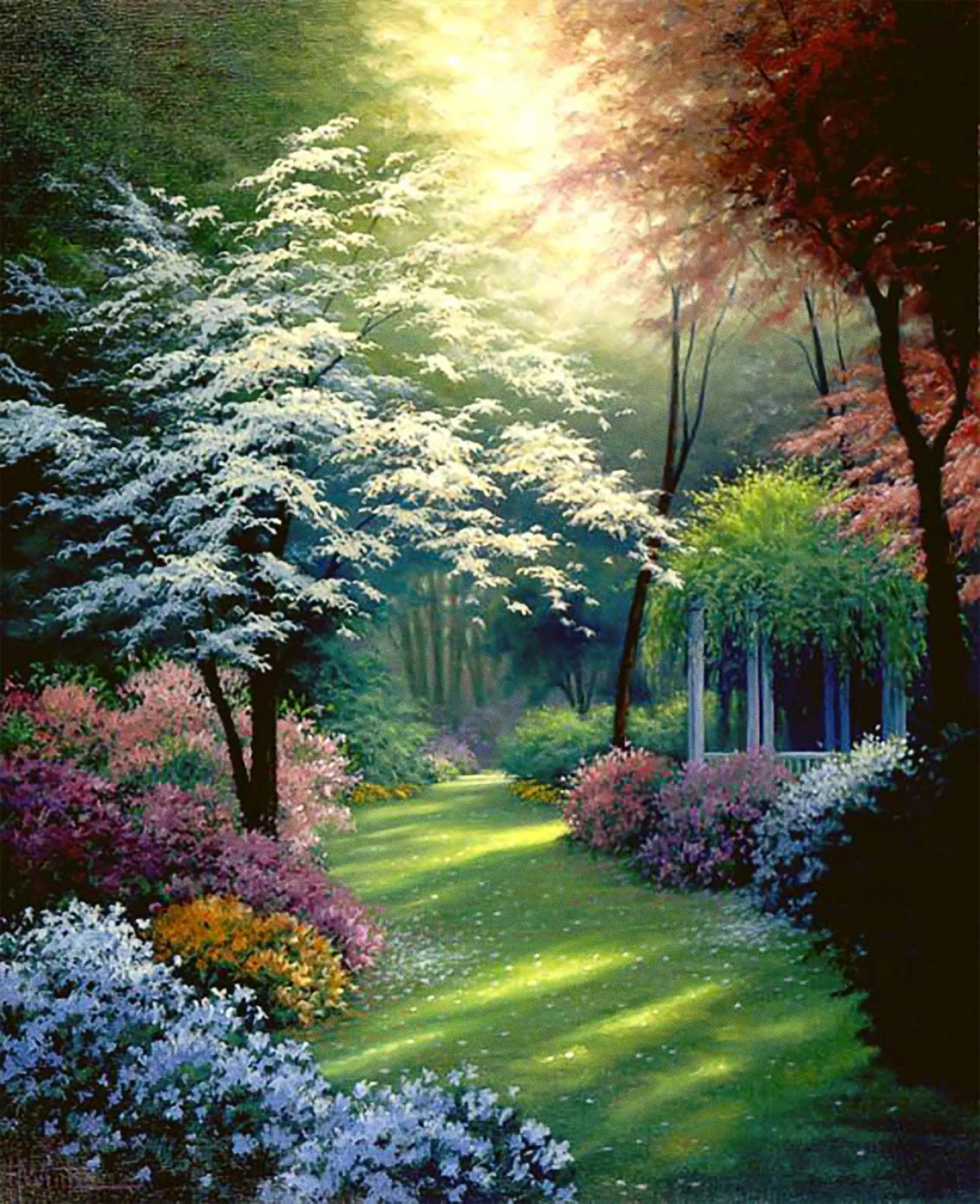 Home page retouched.jpg