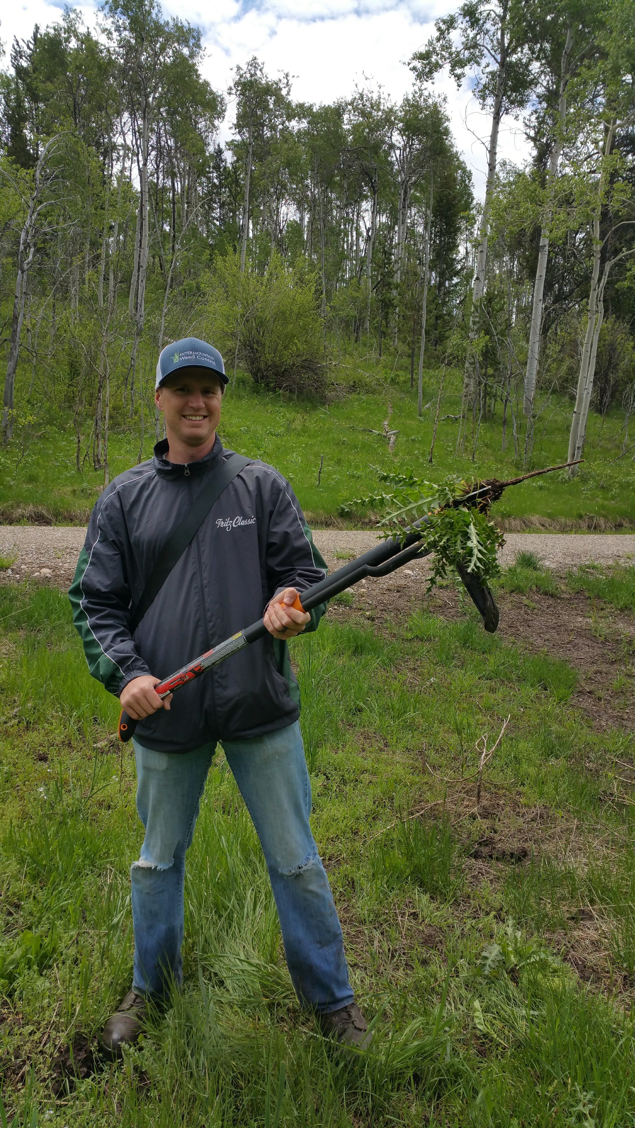 weed control service - manual removal
