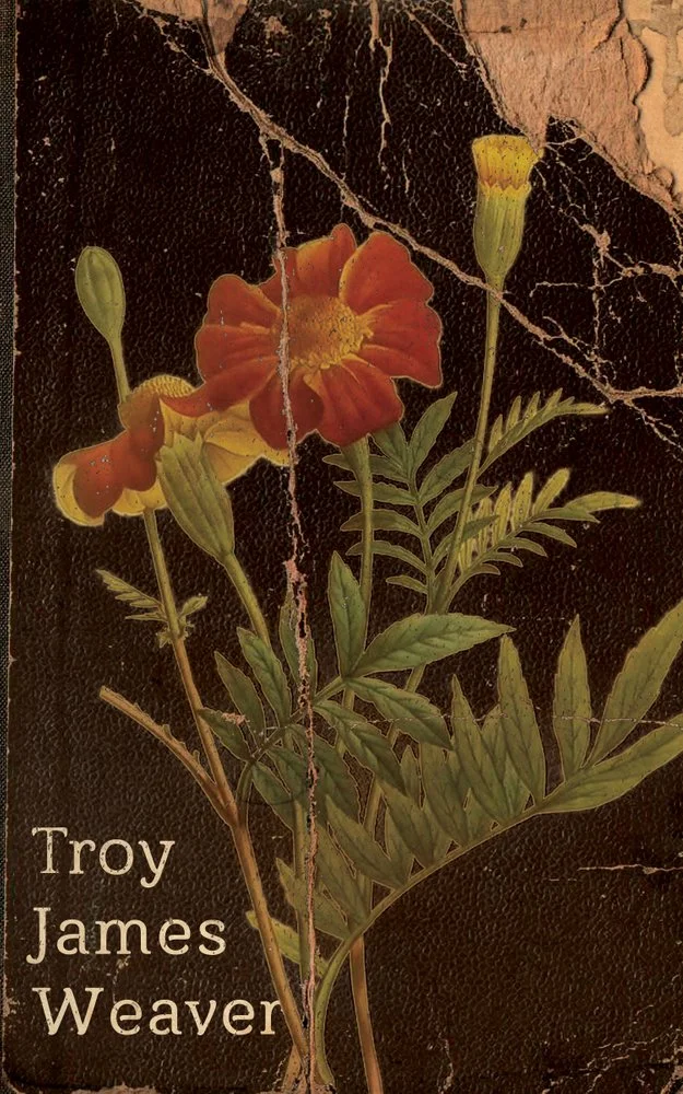 Marigold-cover-300dpi.jpg
