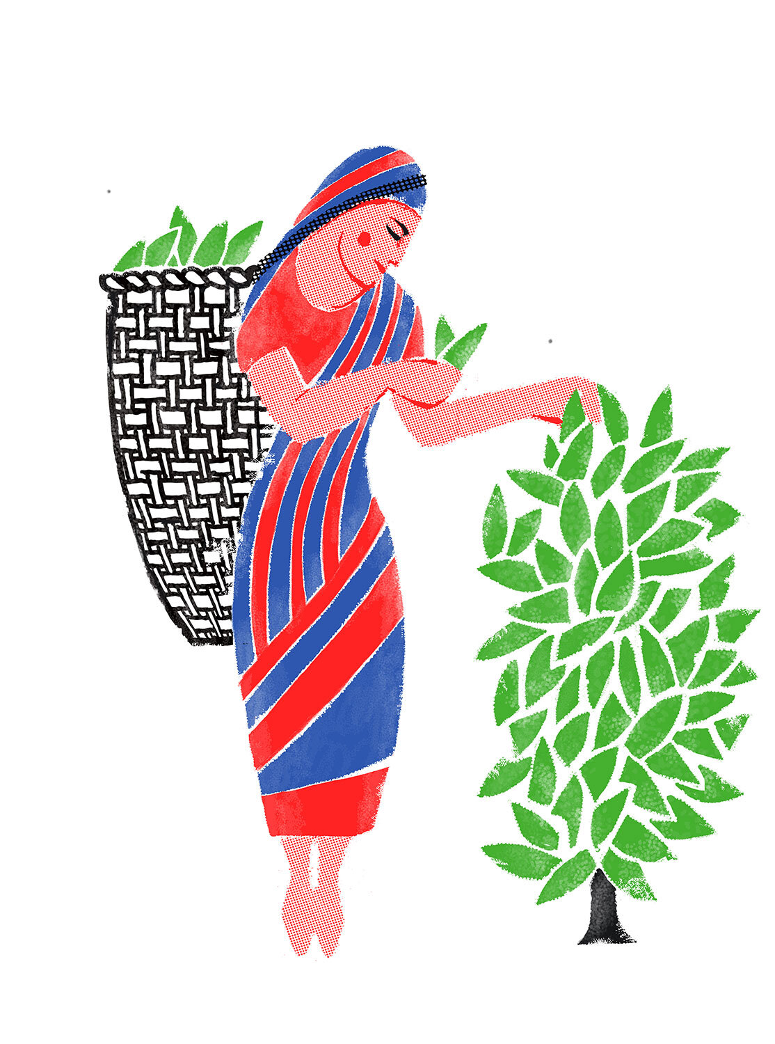 tea-Waitrose-5AW.jpg
