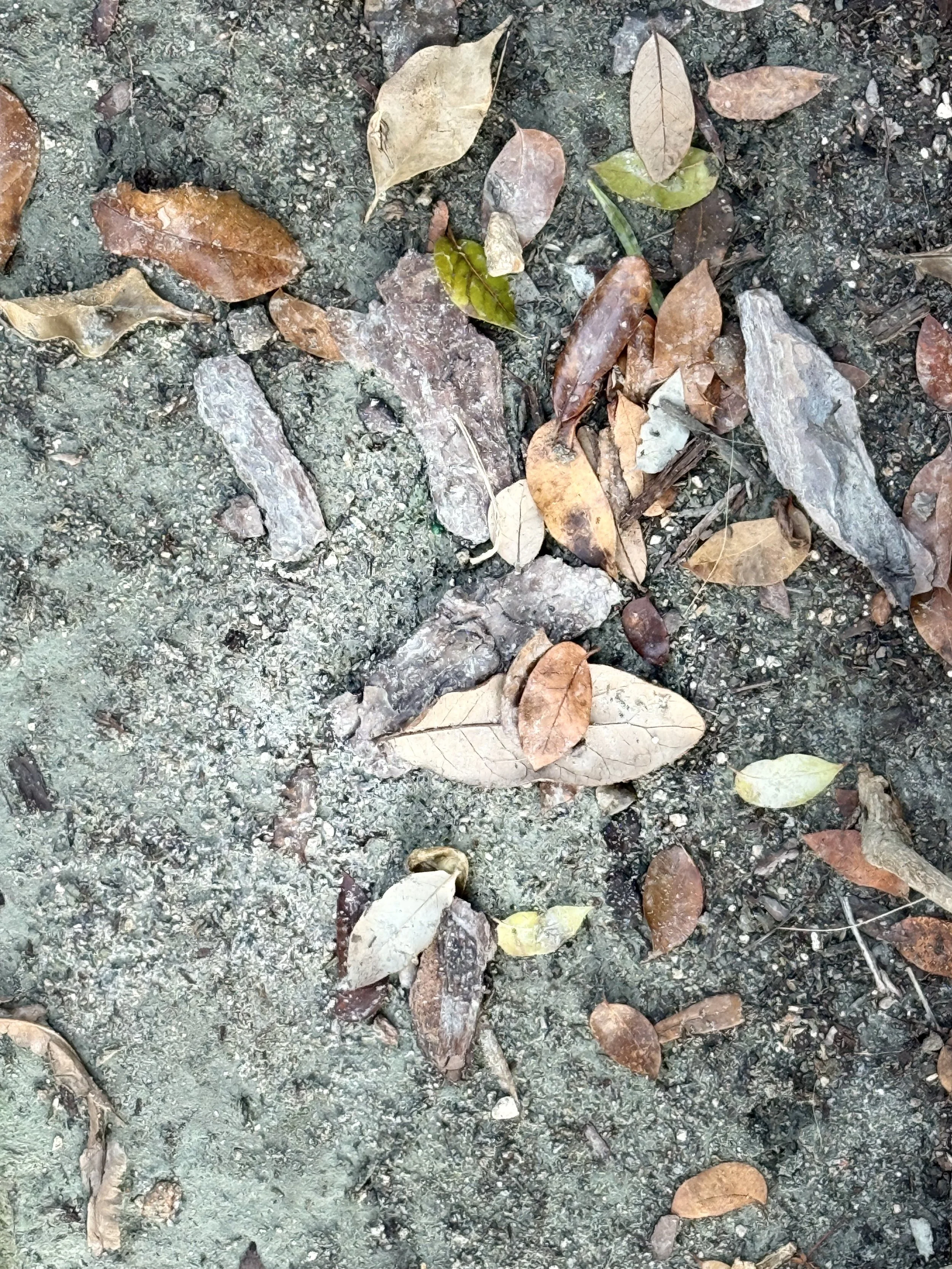Natural clay.jpeg