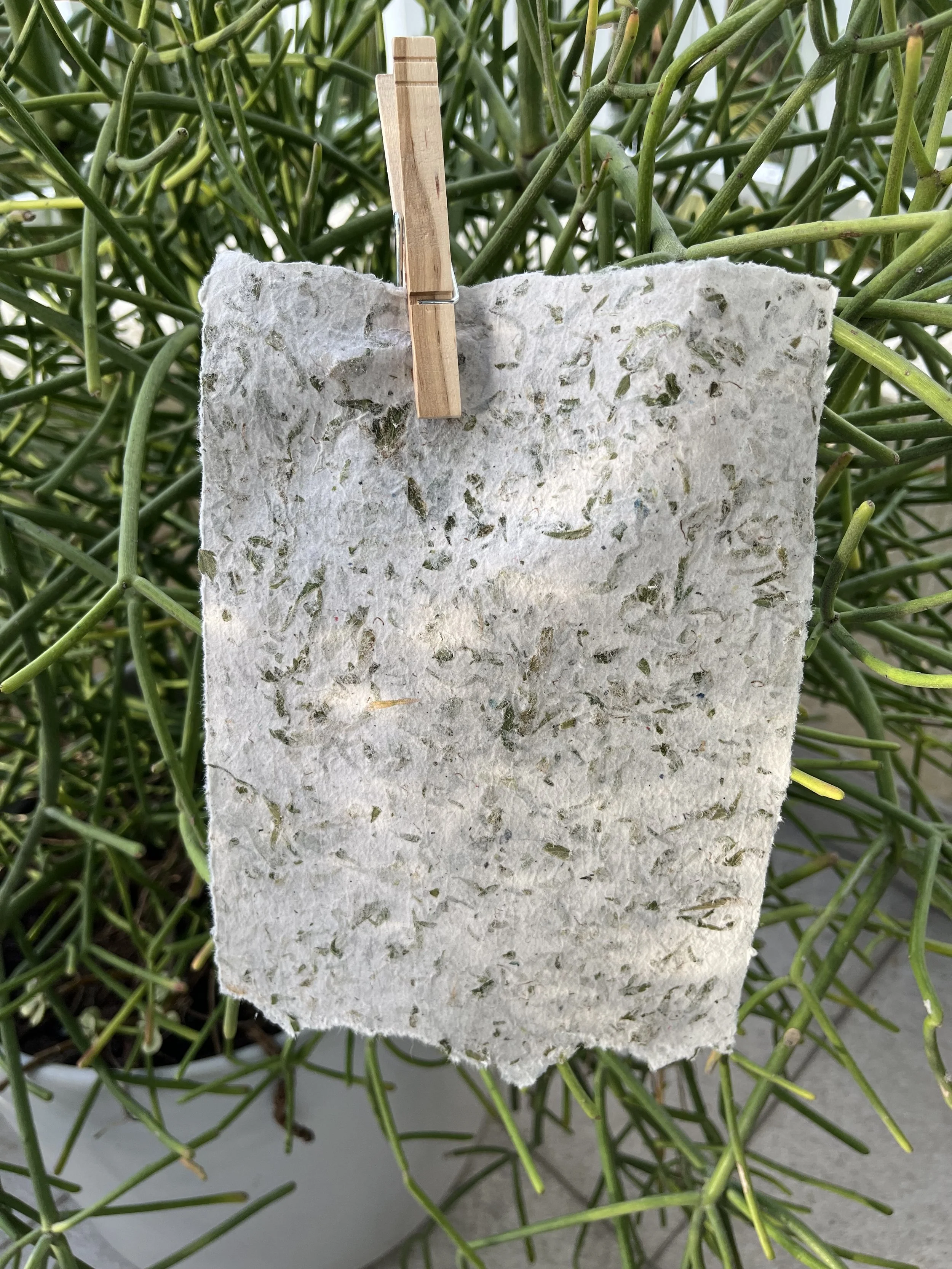 Handemade Paper with Palmetto Leaves.jpeg