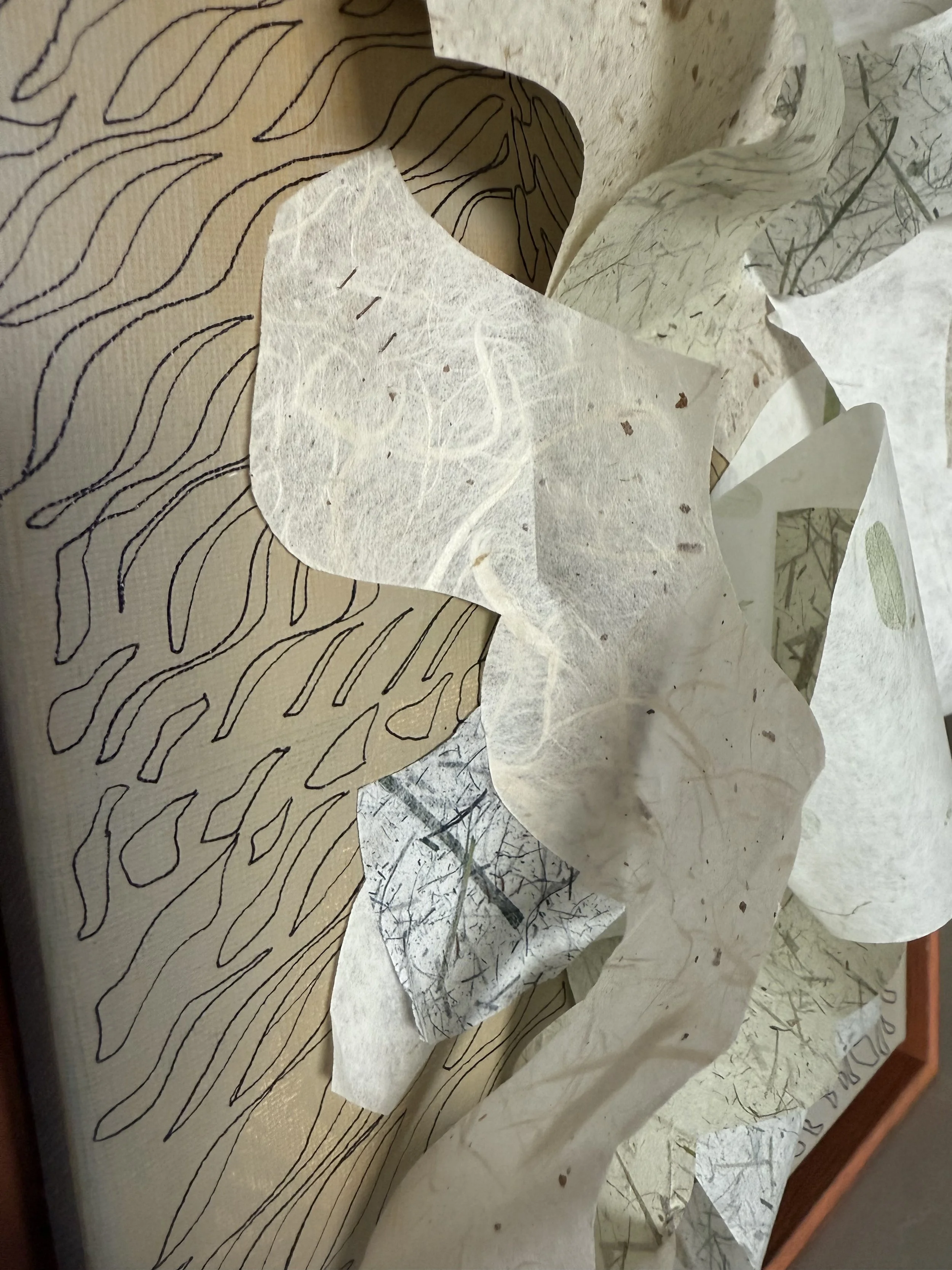 3D- Close-Up of Grasses Paper.jpeg