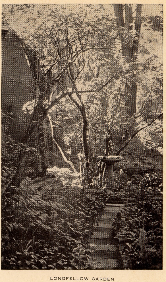 The Garden and Birdbath c. 1929