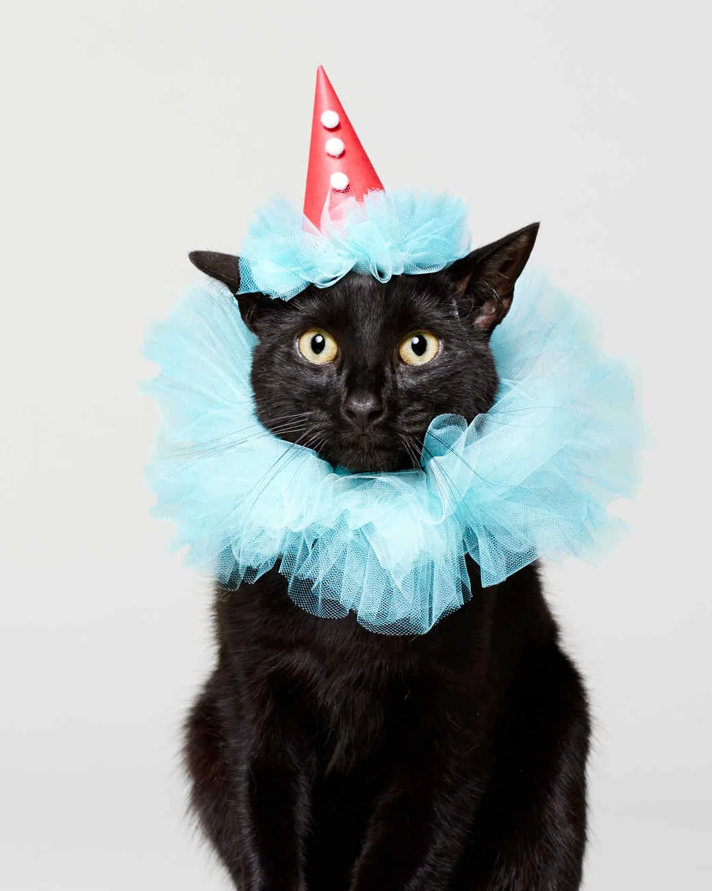 cat-clown-costume-120-d112263_vert.jpg