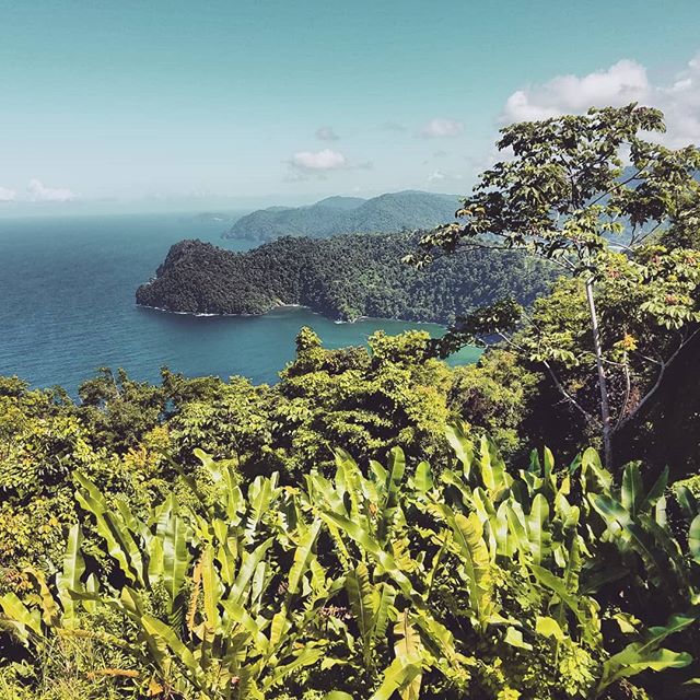 Beauty. Majestic. Nature.

One of the most beautiful views on your way to to Maracas Bay, home to a fishing community and Trinidad's most prized beach... at least most popular.

Did you know that during WWII it was the U.S. Army Corps of Engineers th