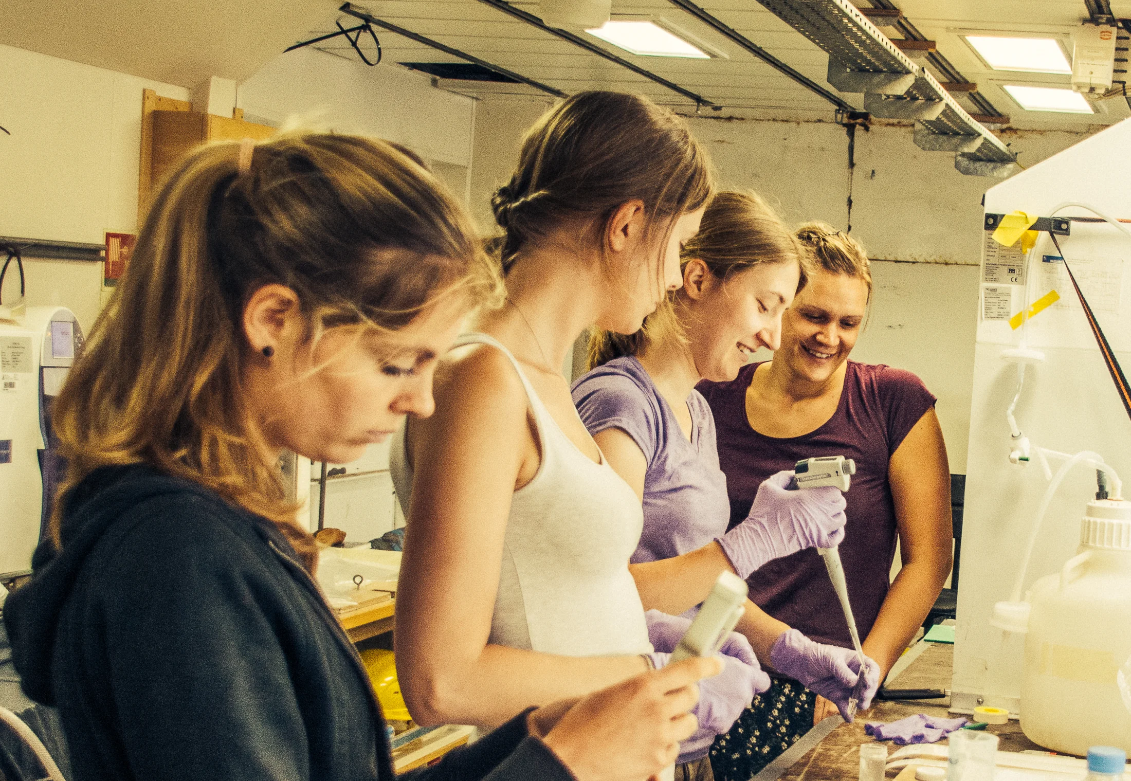 Monica Martens, Laura Schreuder, Franziska Pausch and Laura Korte working on Laura's incubation experiment at the lab.
