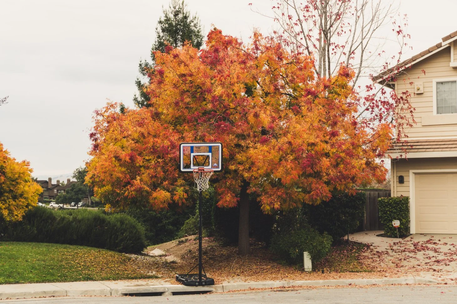 Home To-Do's for Fall