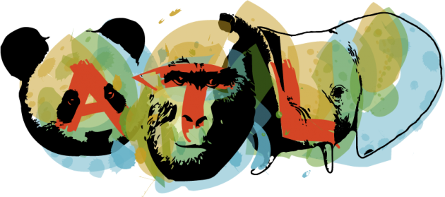 zoo_animal-faces.png