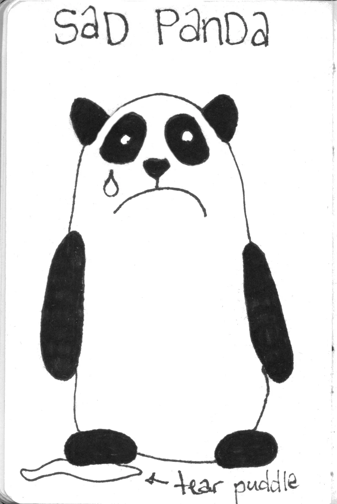 sadpanda-by-emma-stronach.jpg