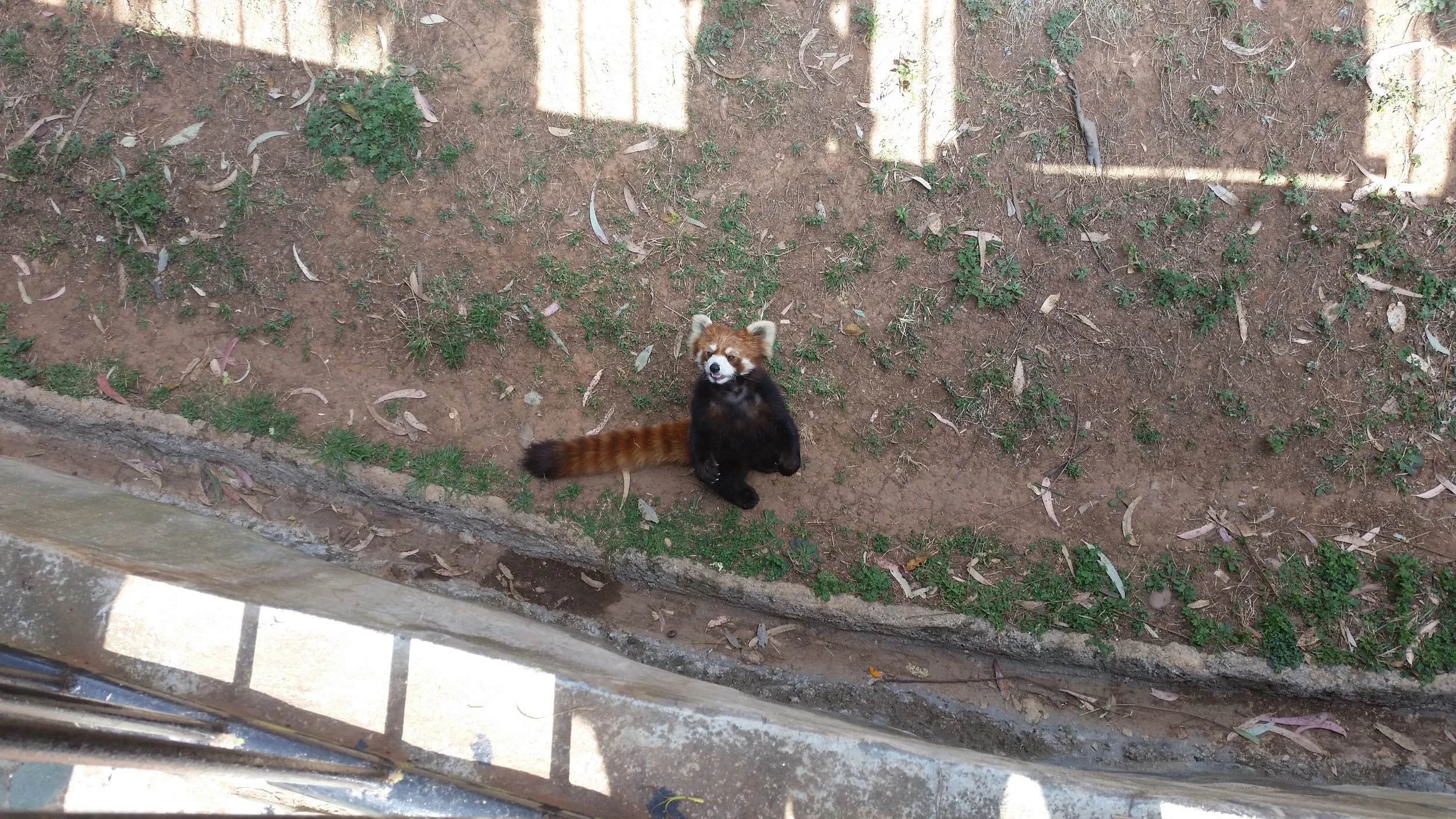20150407_102843