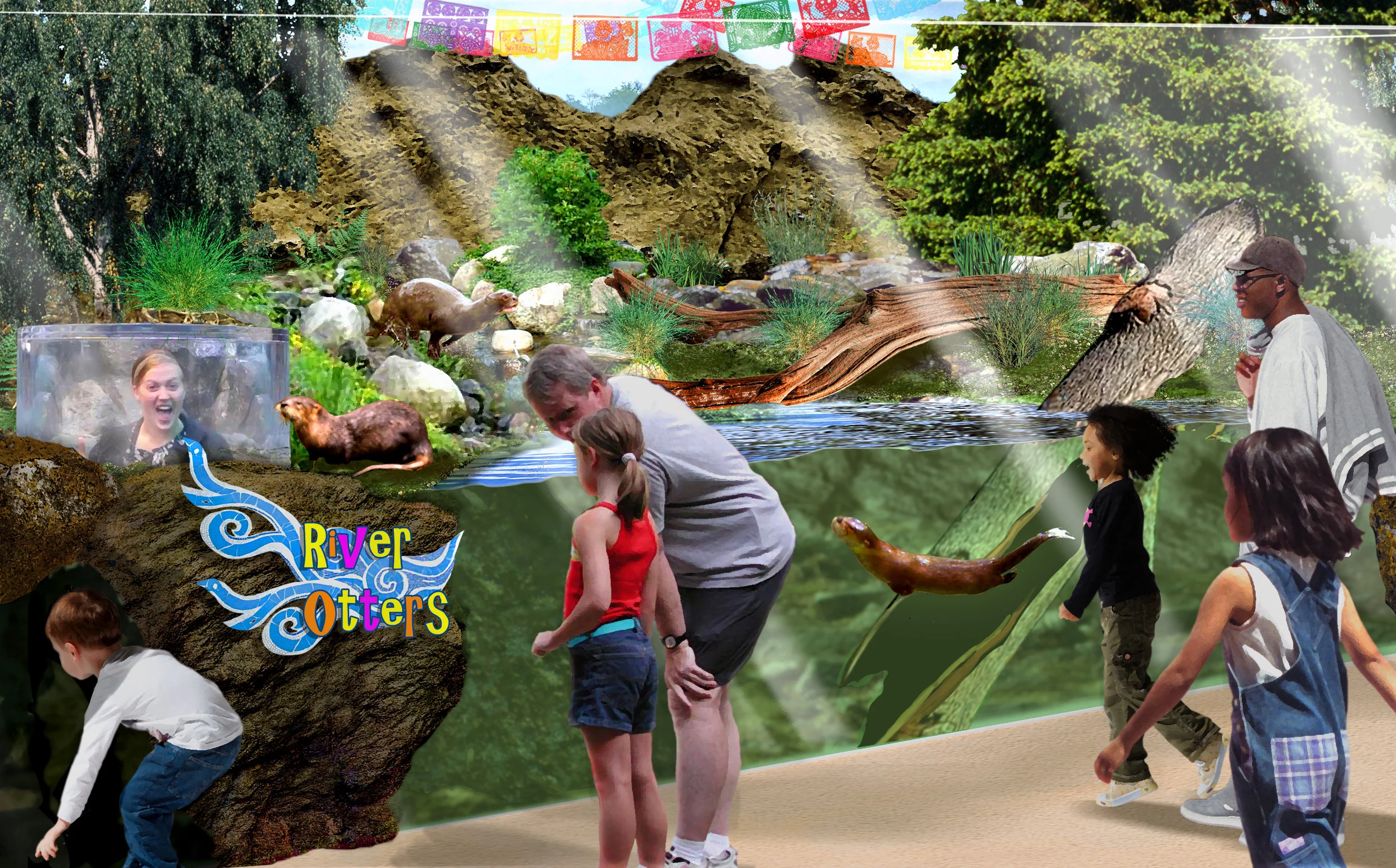 River otters anchor the Viva Kansas! zone (along with a renovated aviary walk-in aviary). This new species to the Zoo was incredibly popular in testing, and supports the fun, active, and playful theme of the zone.