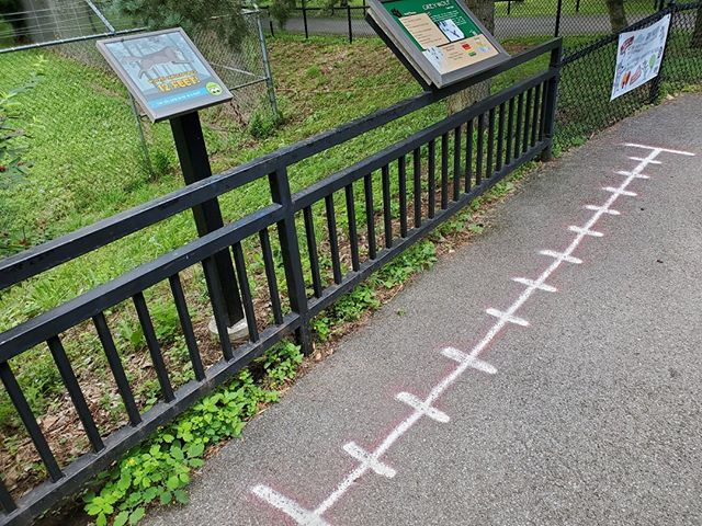 Fun interactive consistent throughout the New York State Zoo at every species. Saw a few kids utilizing it, jumping to see if they could jump as far as a lynx, wolf, etc.⠀
⠀
#smallandmighty #zoodesign #zootripping #nyzoo #zoo #roadtrip #lynx #wolf #i