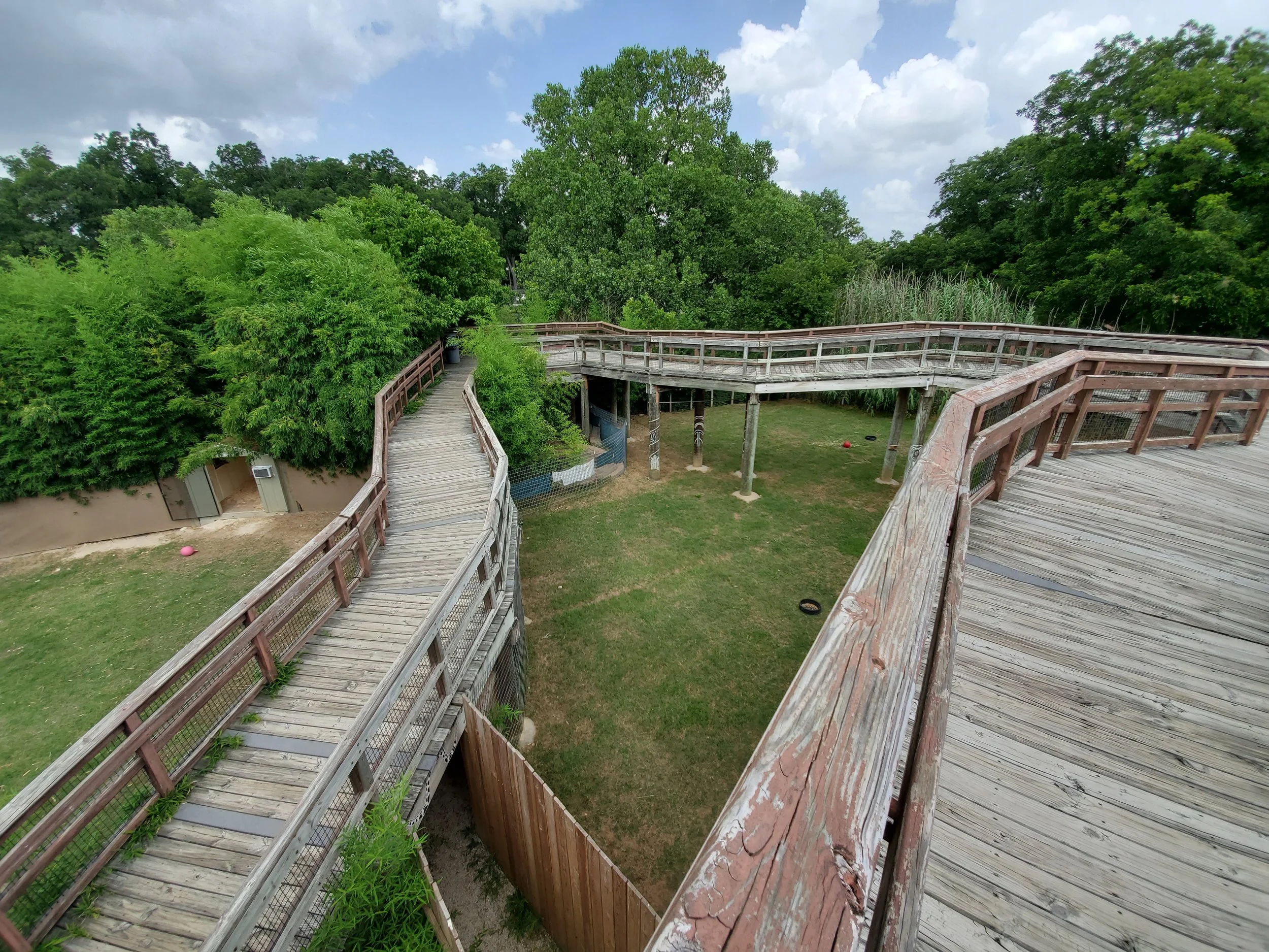 Descending from Africa boardwalk