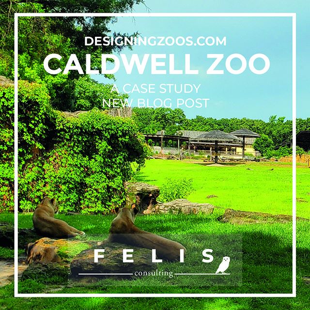 ⭐️ Brand new blog post! Case Study on Caldwell Zoo! ⭐️⠀
⠀
&quot;Caldwell Zoo: A Timeless Ballad&quot;⠀
⠀
@caldwellzoo⠀
⠀
👉Read it here: 👈⠀
www.designingzoos.com