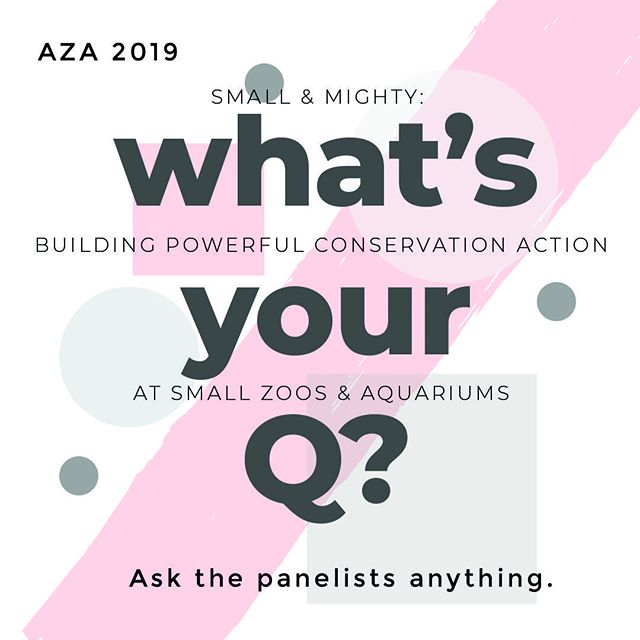 YOUR INPUT IS NEEDED!⠀
⠀
Preparing for moderating the 2nd Q&amp;A session focused on Small Zoos &amp; Aquariums at the AZA Conference next month! ⠀
⠀
This session is focused on the challenges and opportunities when creating conservation programs at s