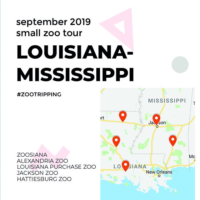 Next week! Felis Consulting is #Zootripping through LA &amp; MS! Get ready for insights and observations from Alexandria Zoo, Louisiana Purchase Zoo, Jackson Zoo, Hattiesburg Zoo, and Zoosiana! ⠀
⠀
#zootripping #southernzoos #mississippidelta #zoos #