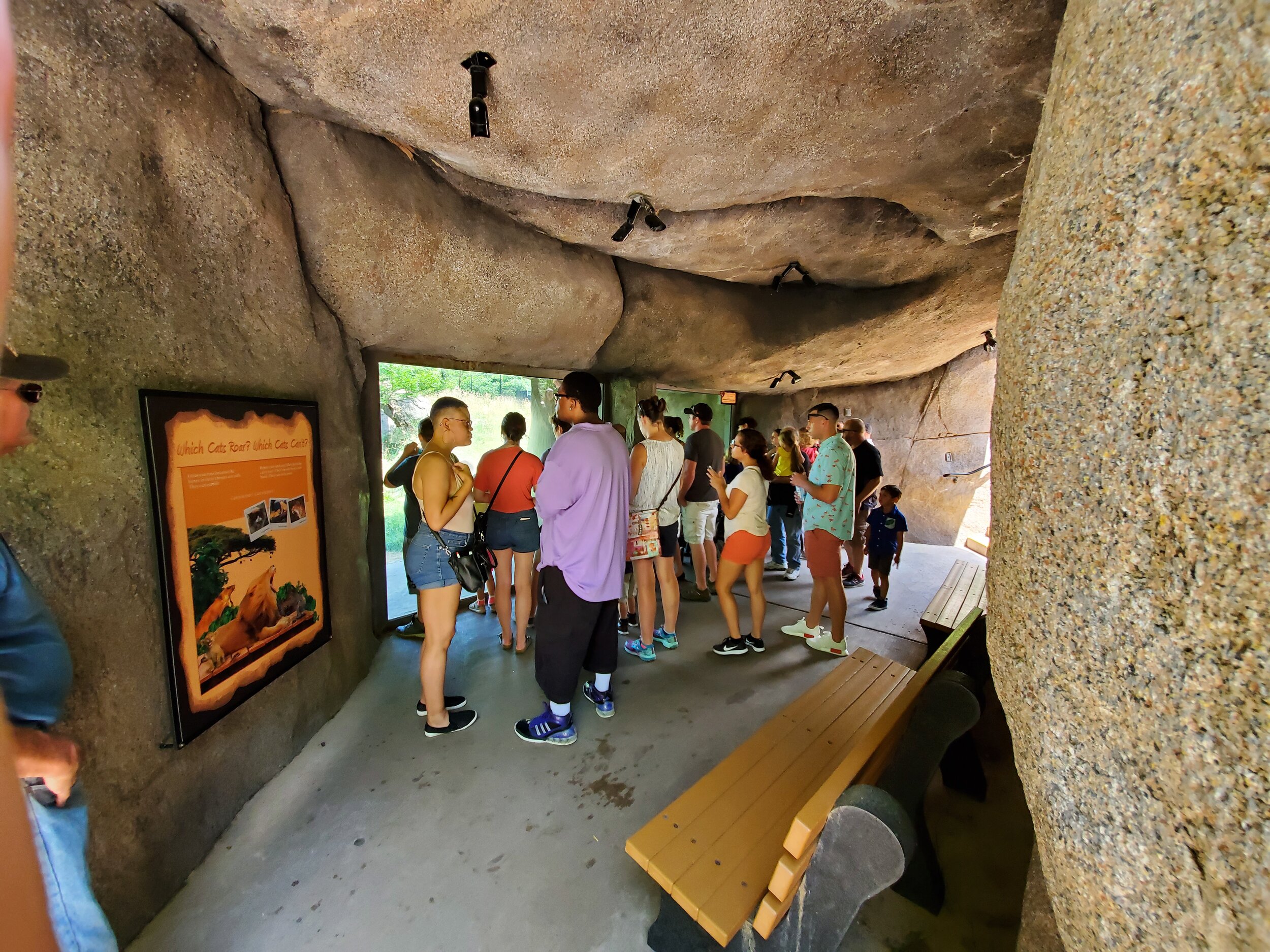  Viewing cave 