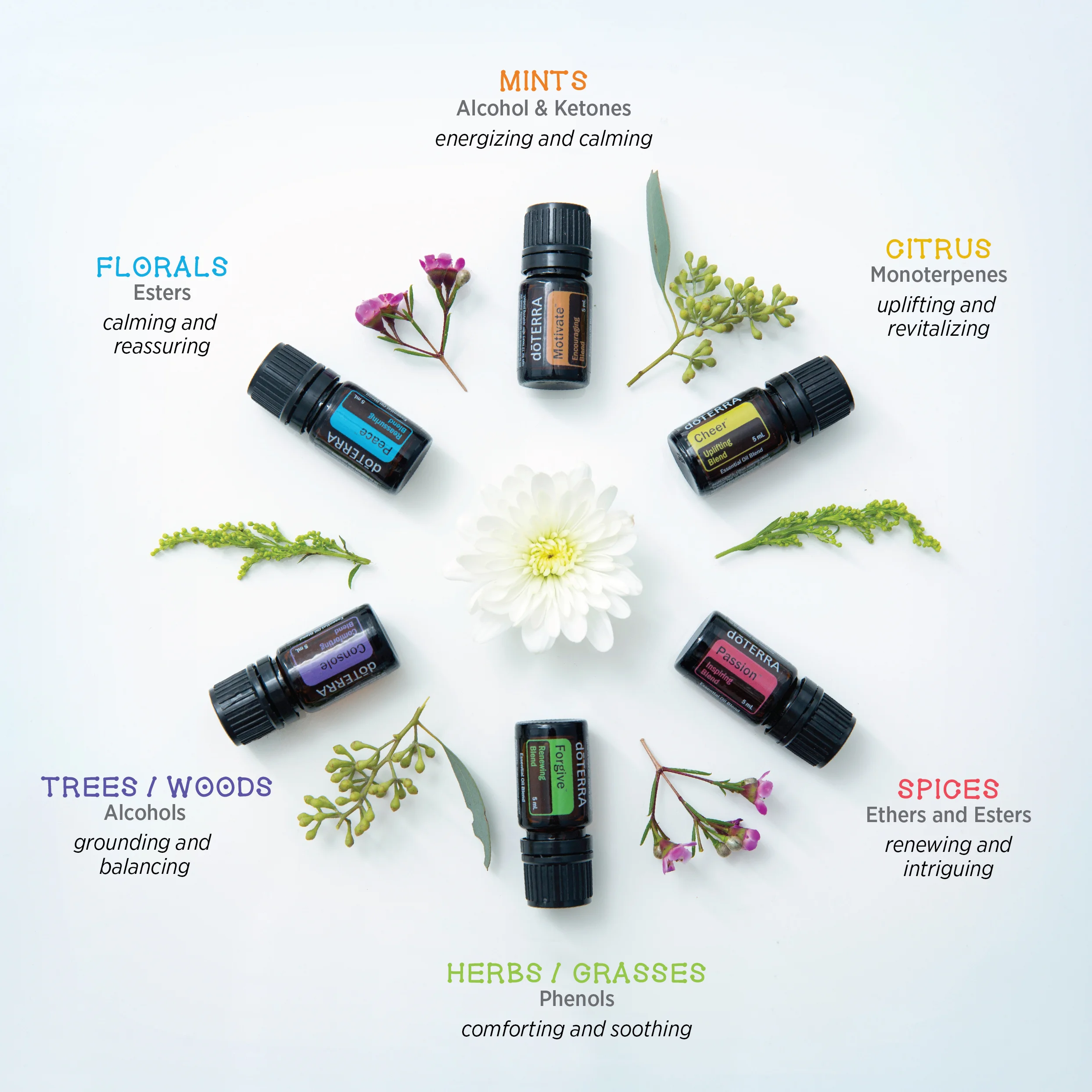 aromatherapy-infographic.jpg