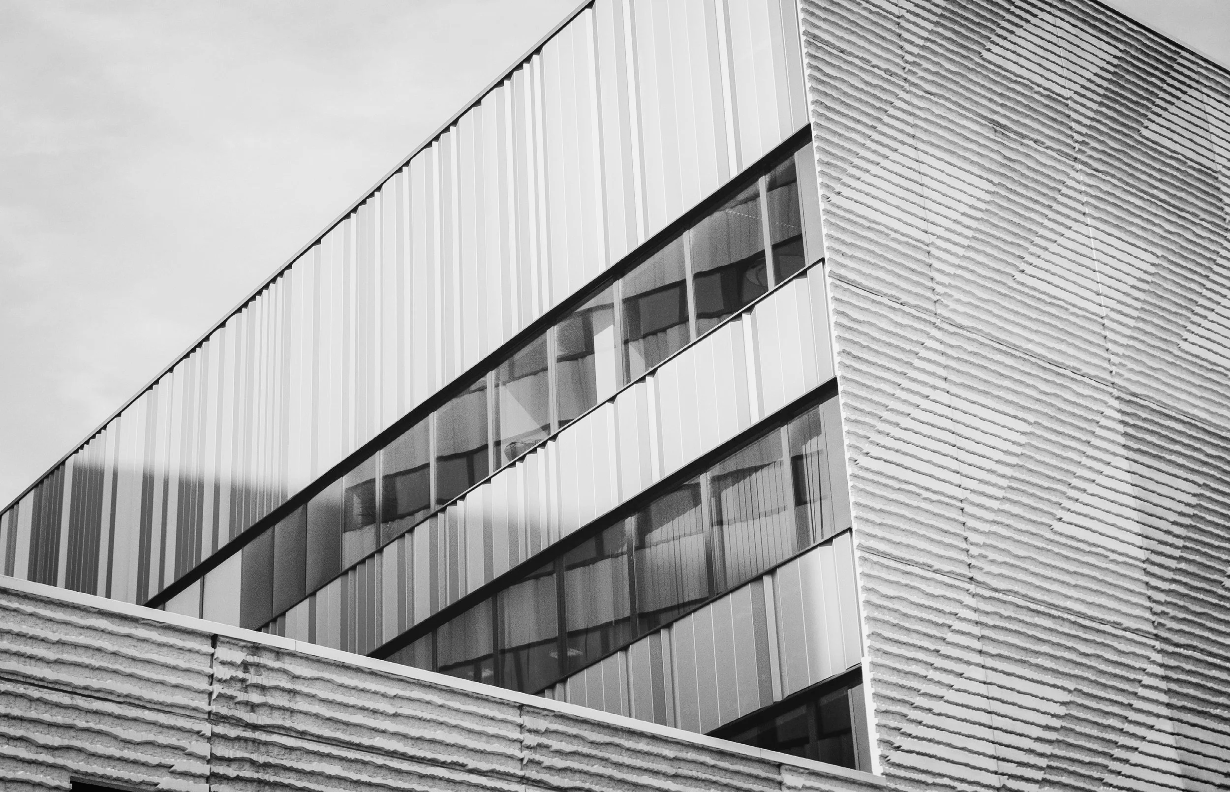 building for Roger.jpg