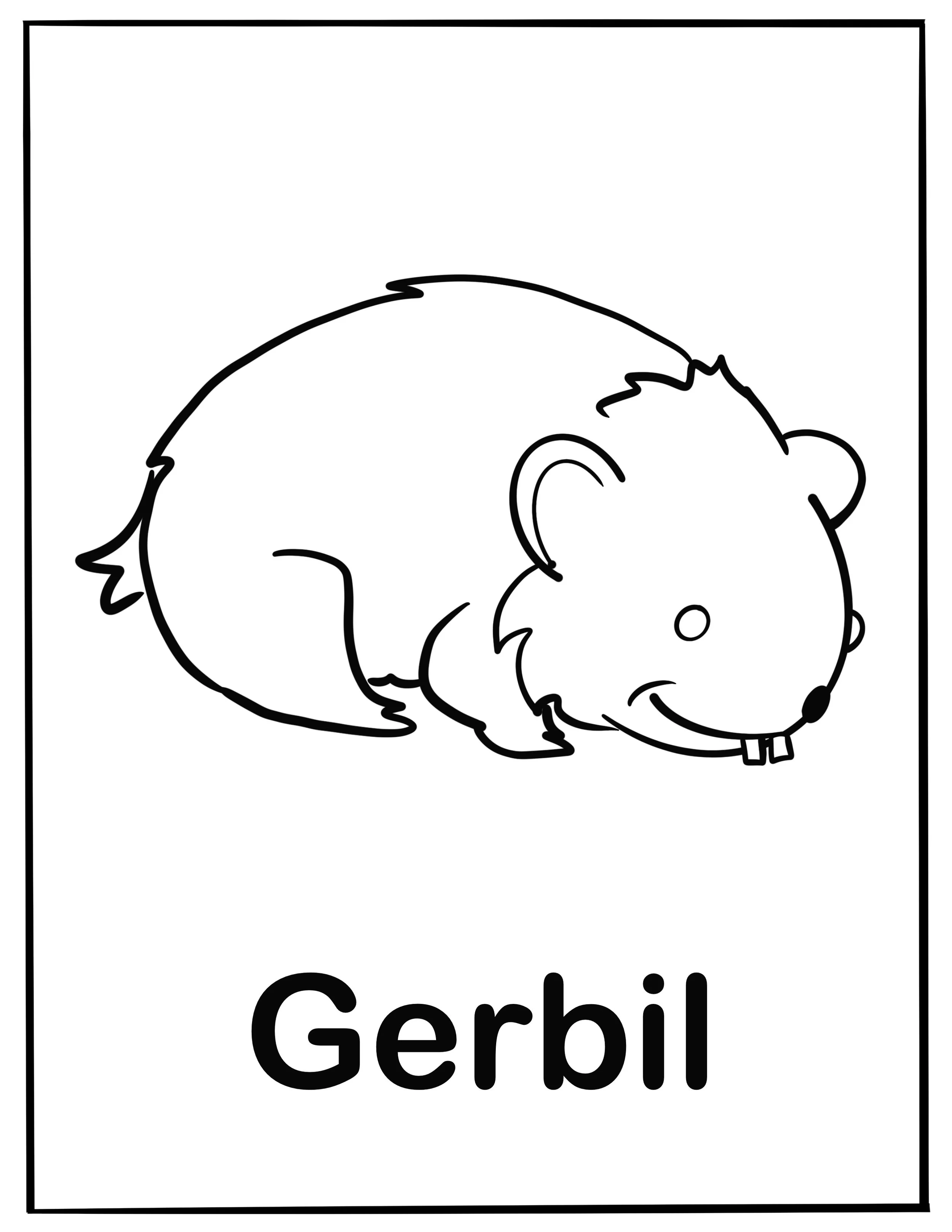 Everyday_things_1 5.jpg