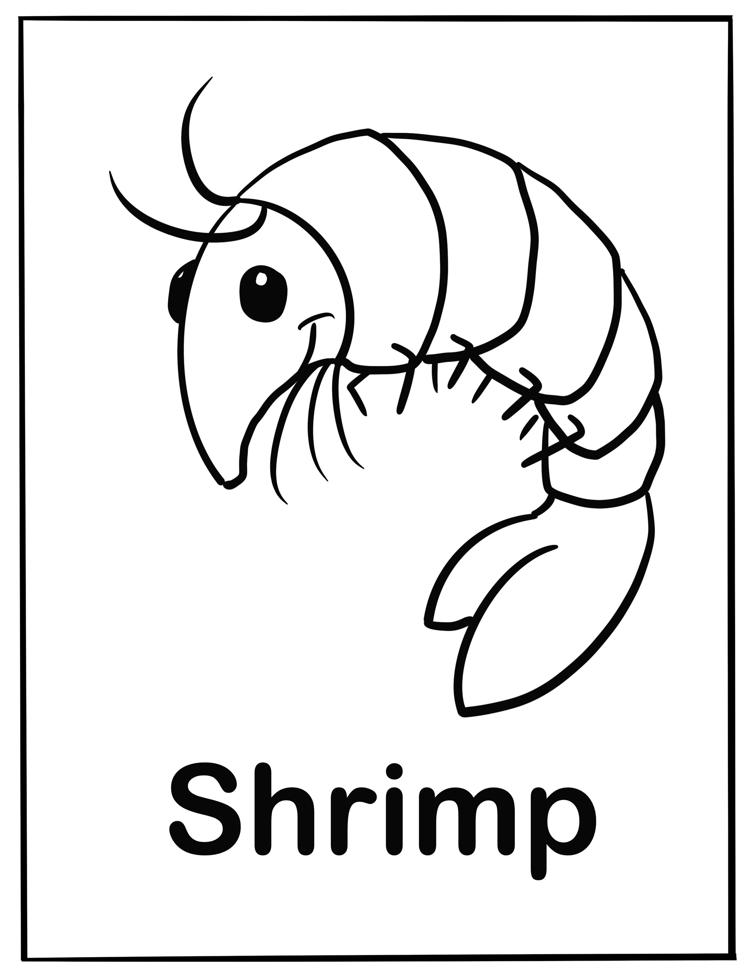 Everyday_things_1 6.jpg