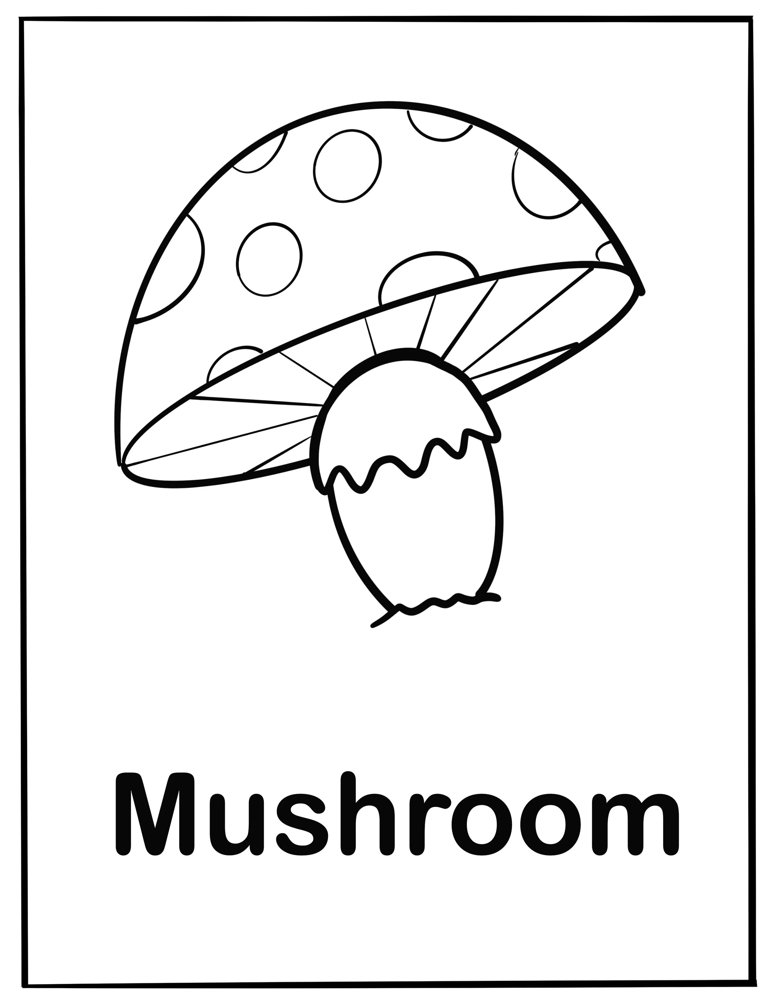 Everyday_things_1 7.jpg