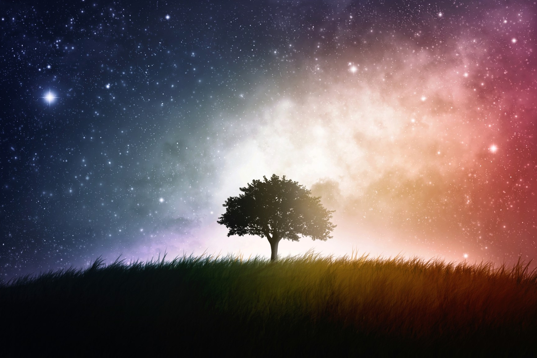 tree-in-field.jpg