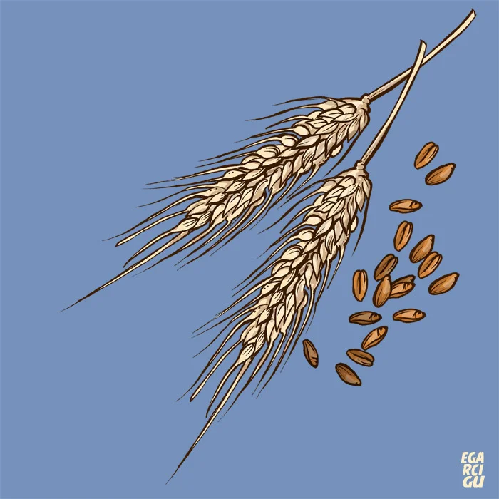 grain.jpg