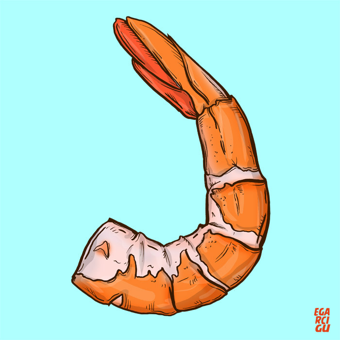 shrimp.jpg