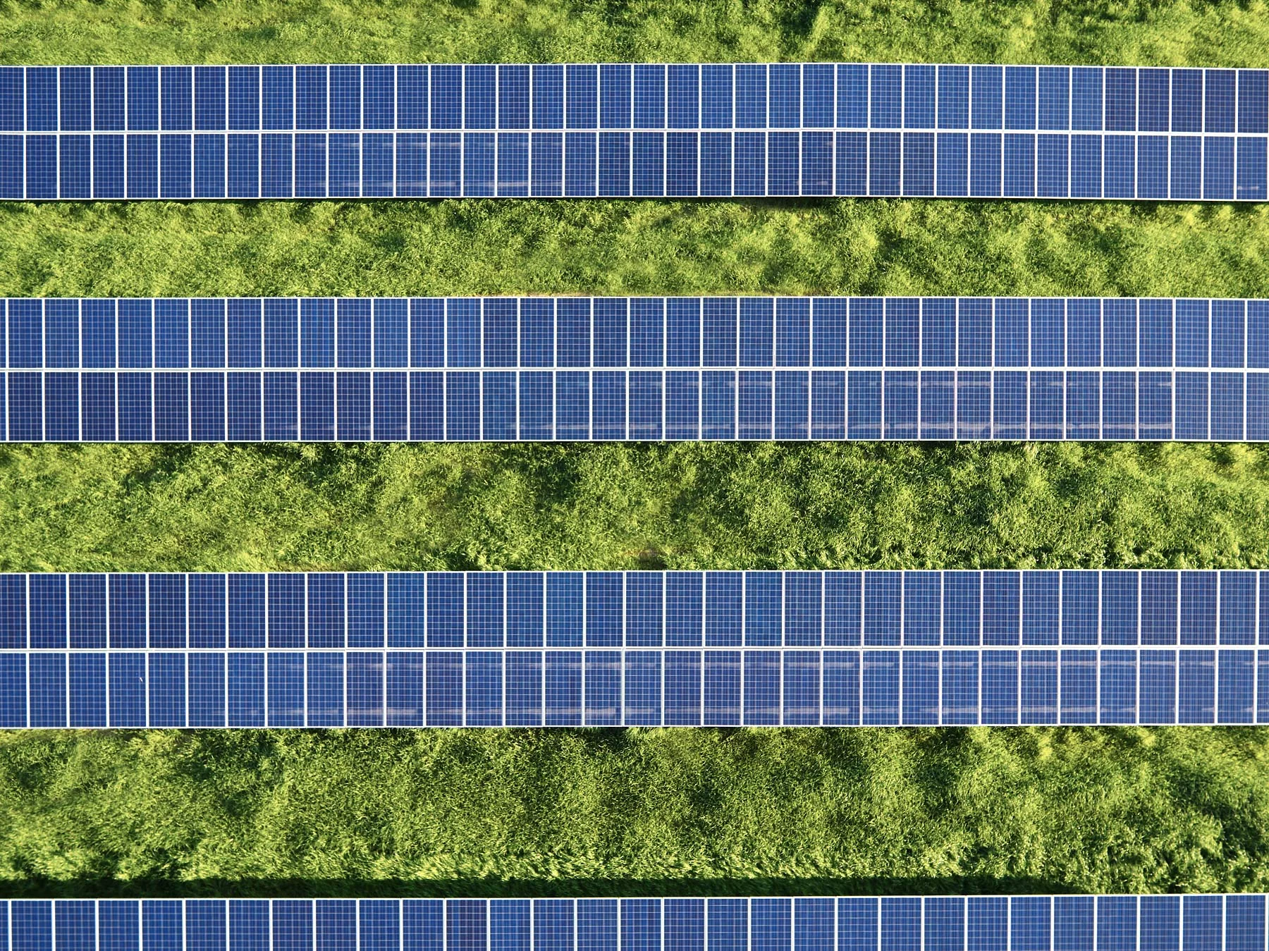 Cameron_Davidson_drone_60.jpg