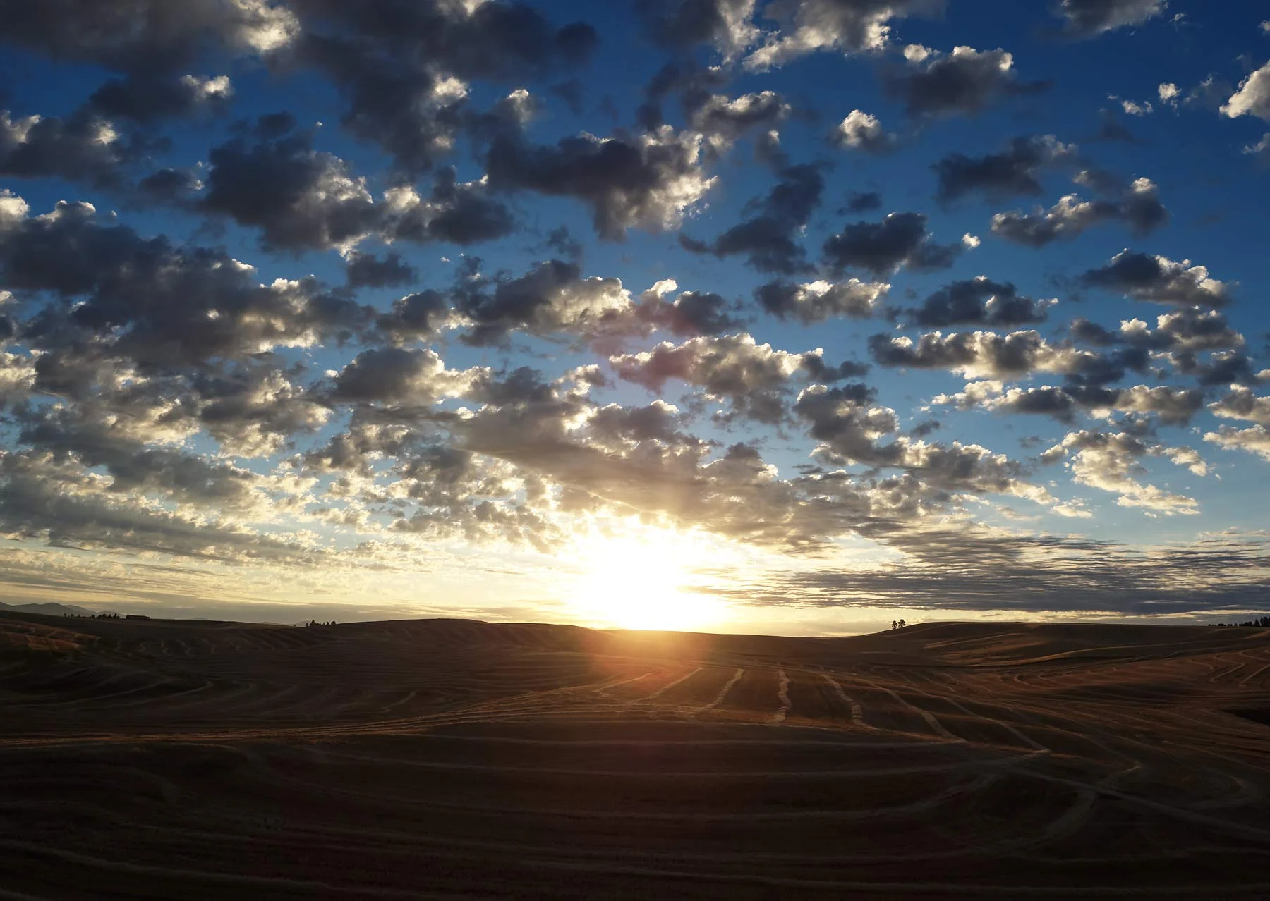 Cameron_Davidson_drone_64.jpg