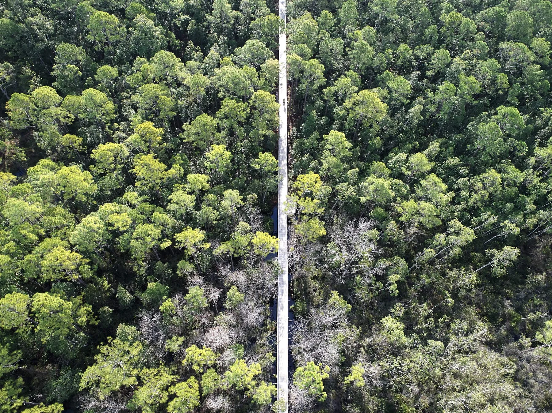 Cameron_Davidson_drone_73.jpg