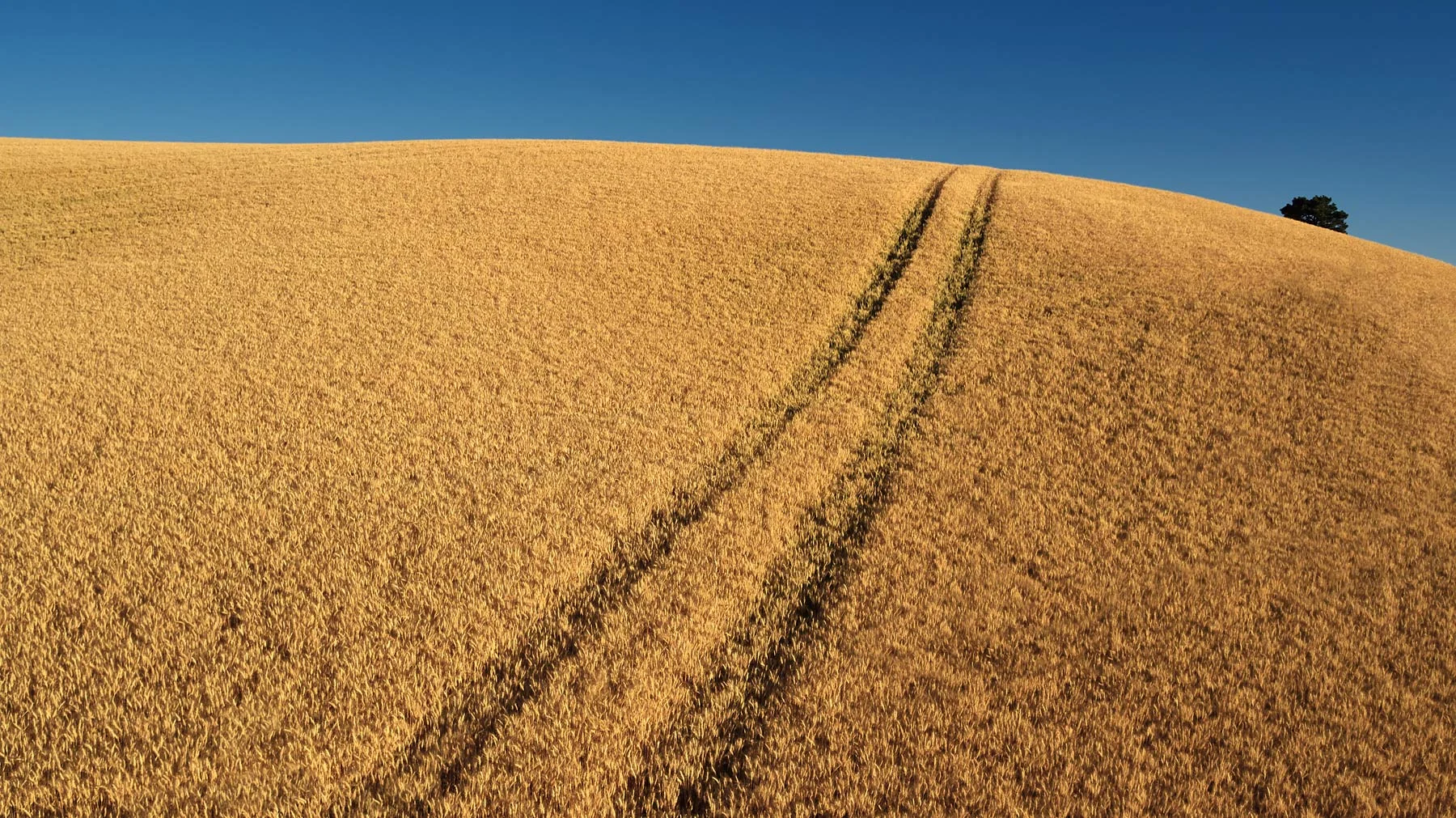 Cameron_Davidson_drone_81.jpg