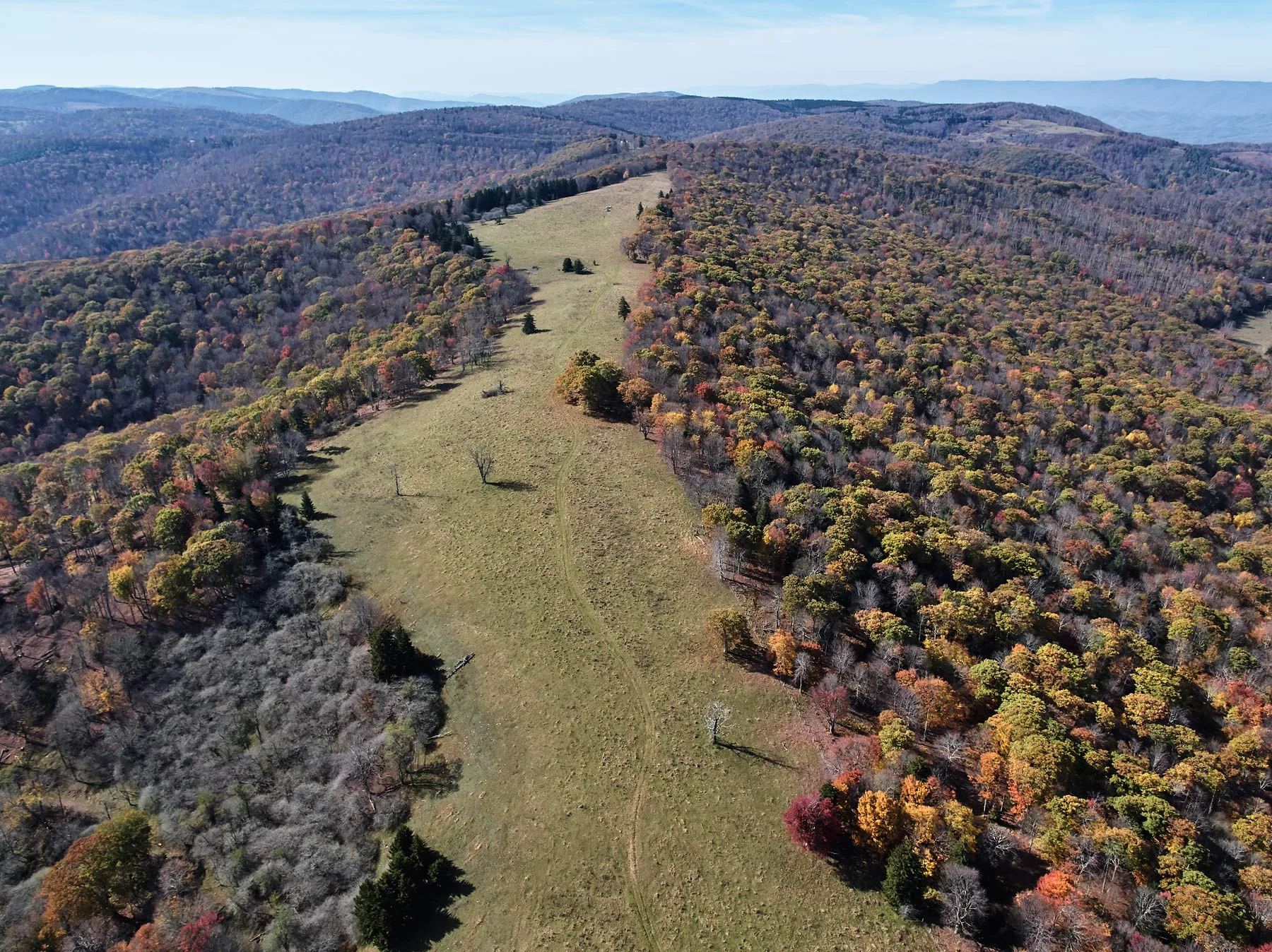 Cameron_Davidson_drone_80.jpg