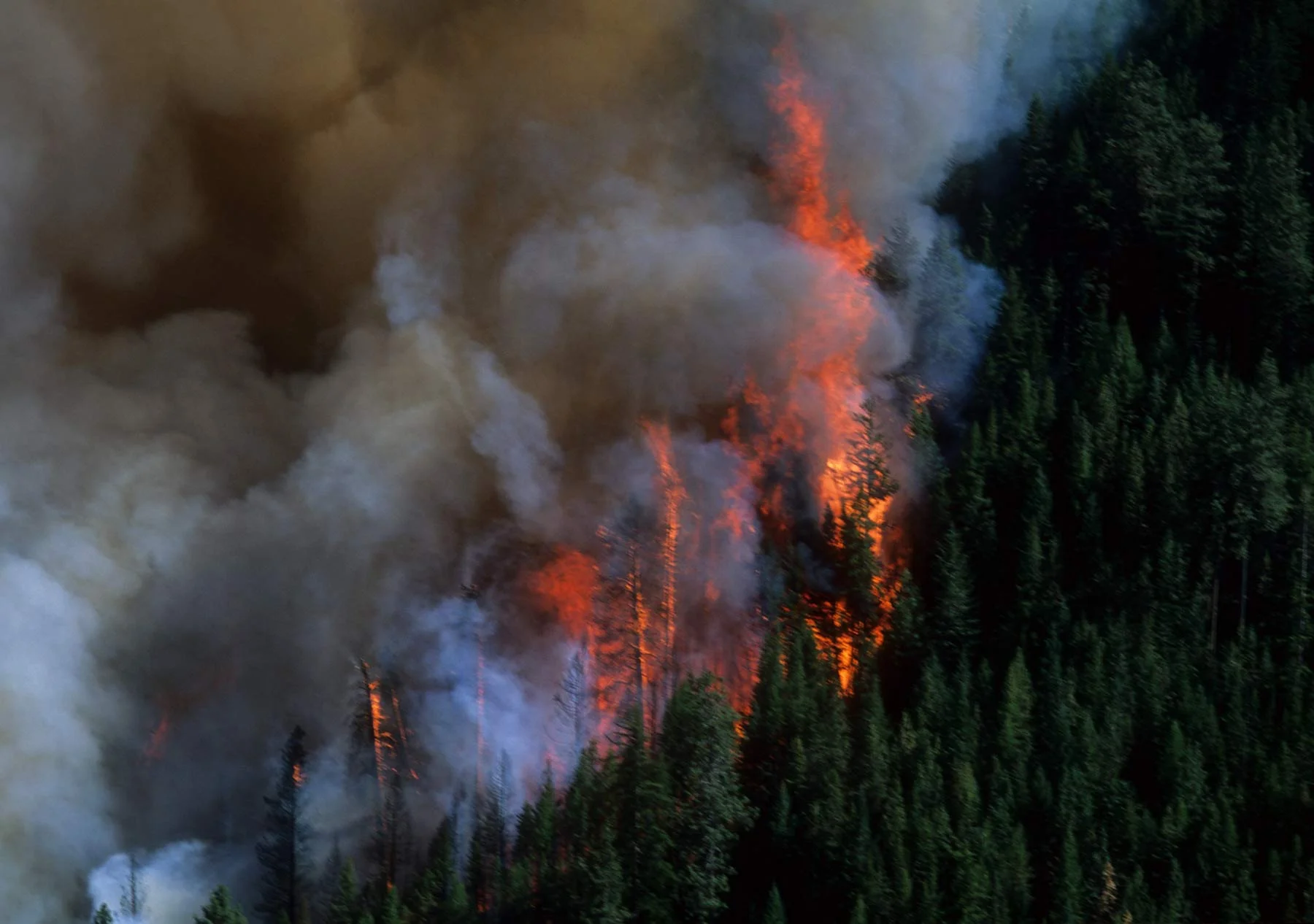 Western Wildfires - Snake River of Idaho - Summer 2000 - Ridge exploding