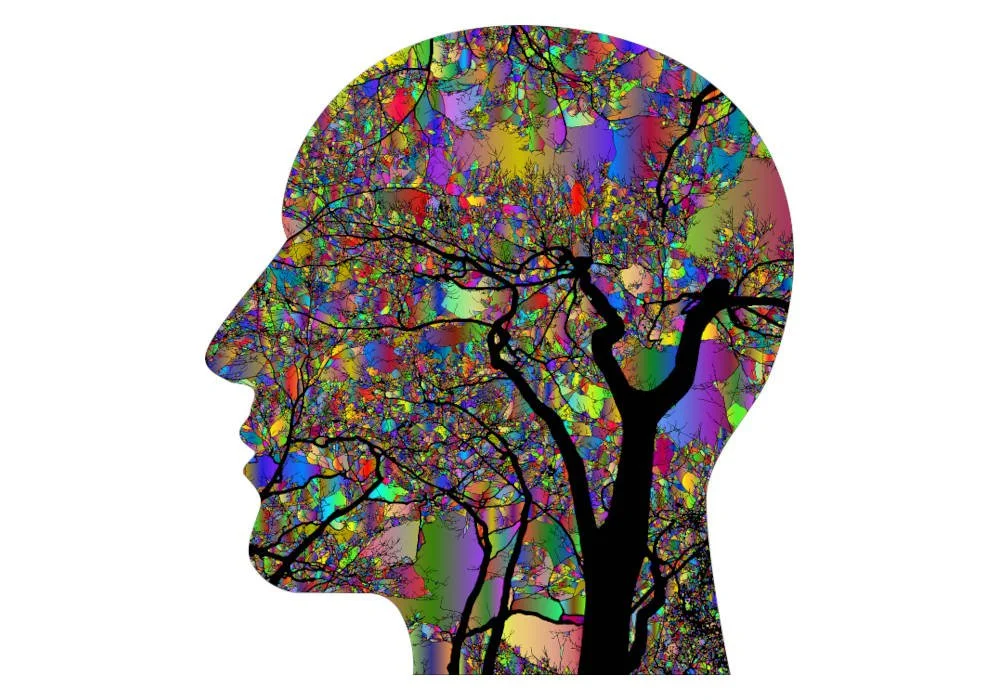 brain.jpg