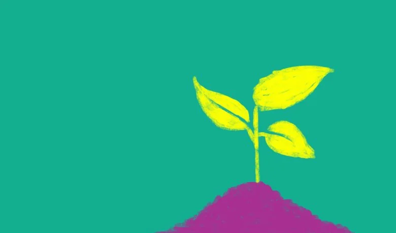 organic-growth.jpg