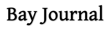 Screenshot 2018-06-18 10.41.12.png
