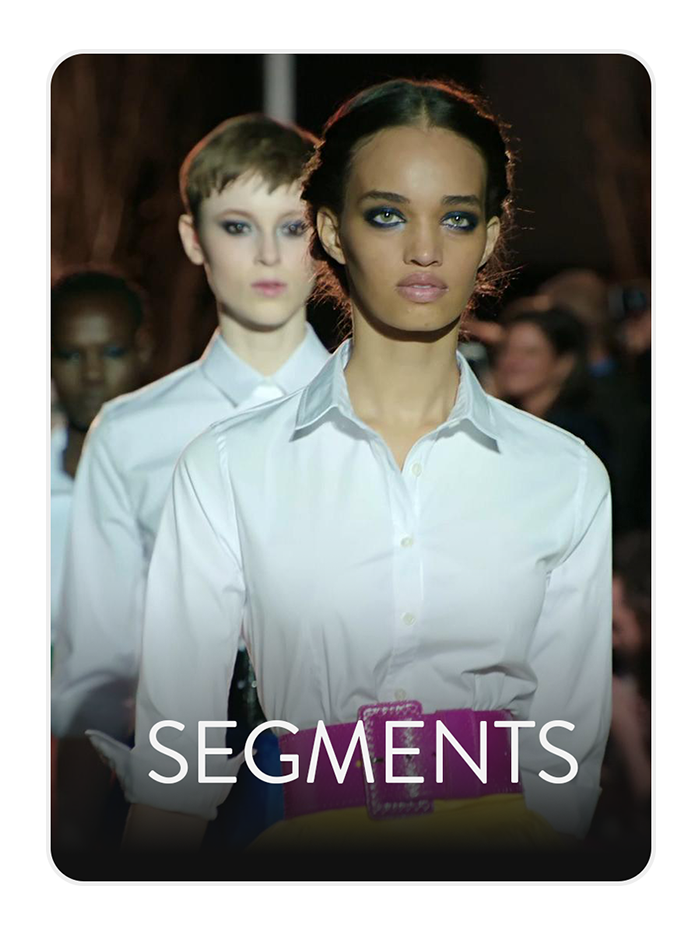 SEGMENTS v2.png