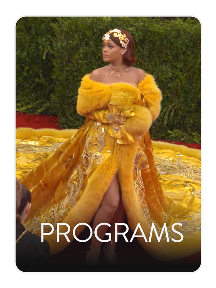 PROGRAMSv2.png
