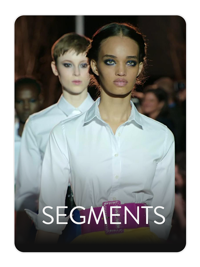 SEGMENTS v2.png