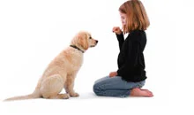 Sosialiseringsperiode hos hund